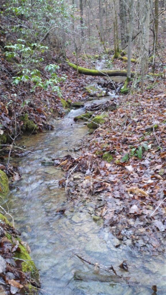 2614 Providence Rd, Somerset, KY 42501 - photo 3