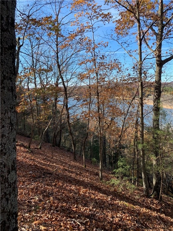 4.32 AC Barzel Point Rd, Rogers, AR 72756 - photo 4