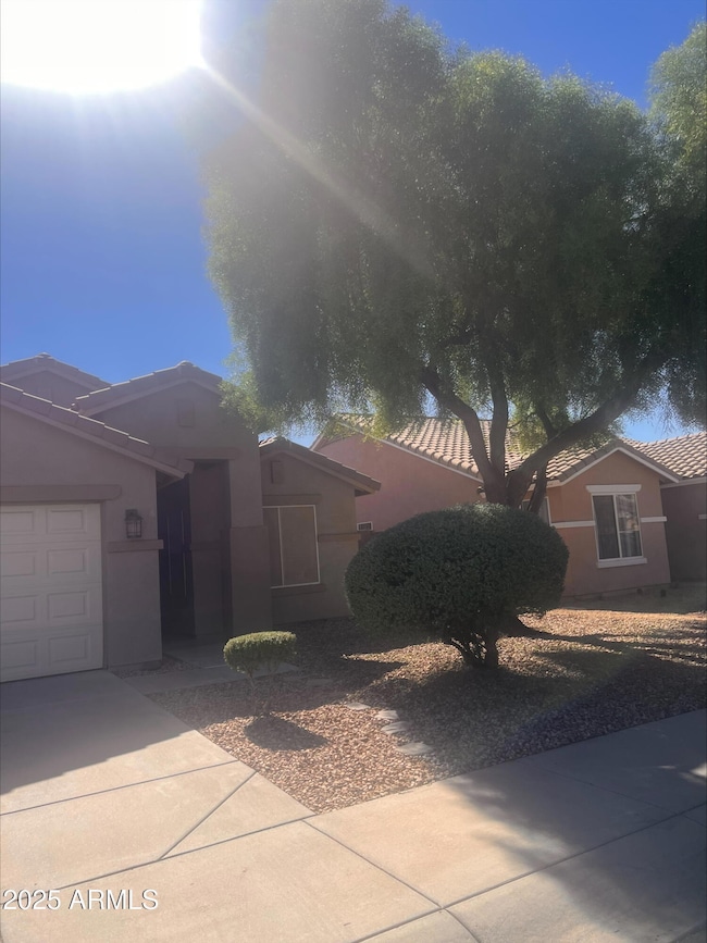 6615 W Whyman Ave, Phoenix, AZ 85043 - photo 3