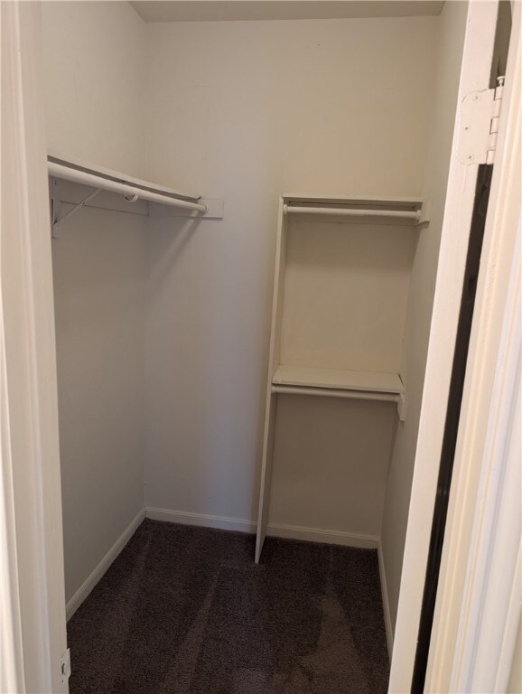 Spacious closet featuring dark carpet