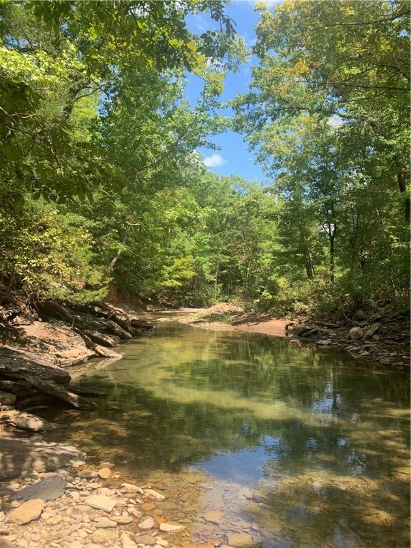 21148 Wild Boar Rd, Winslow, AR 72959 - photo 6