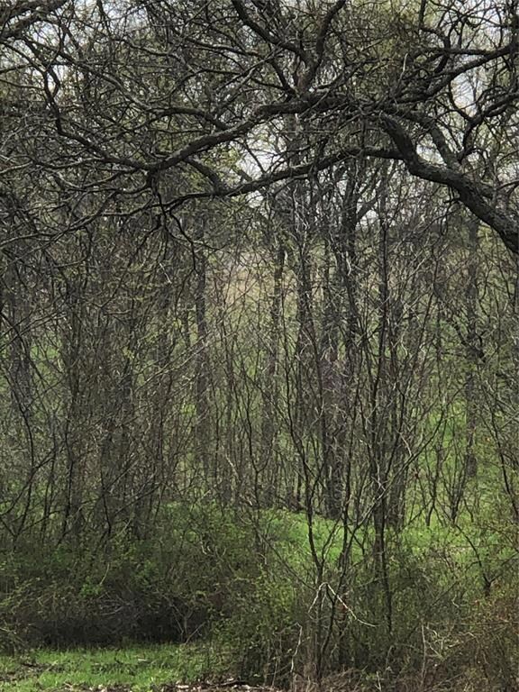 Lot 49 Turnberry Ln, Corsicana, TX 75110 - photo 2