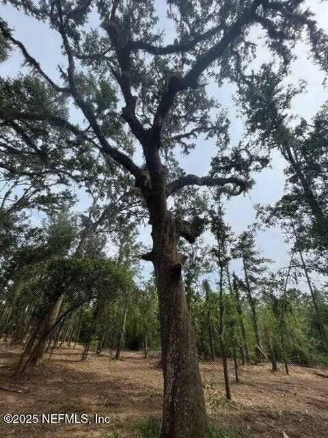 NW Us Highway 41, Jasper, FL 32050 - photo 5