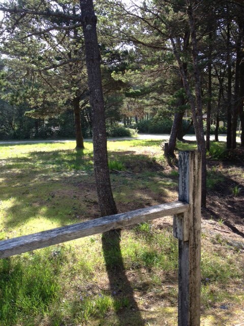 Contiguous Lot View From Back Door Area