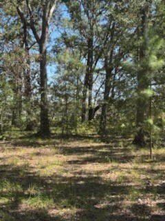 11031 Crossno Dr, Cleveland, TX 77328 - photo 7