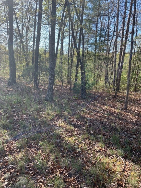 545 Flat Shoals Rd, Walhalla, SC 29691 - photo 2