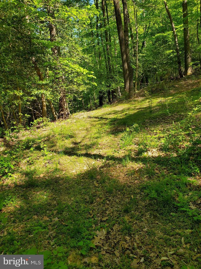 3919 & 3915 Hunting Creek Rd, Huntingtown, MD 20639 - photo 4