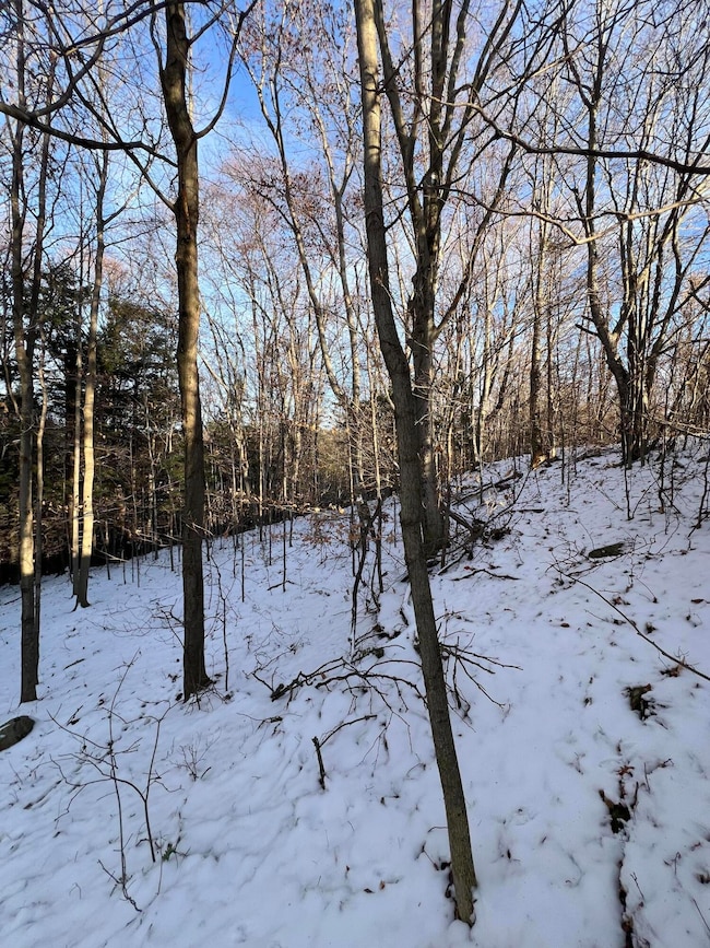 . Lewis Rd, Chateaugay, NY 12920 - photo 3