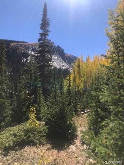 South Lot Chicago Creek Rd, Idaho Springs, CO 80452 - photo 3