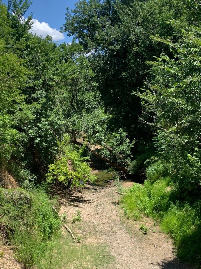Polecat Creek from bridge. property is on the righ