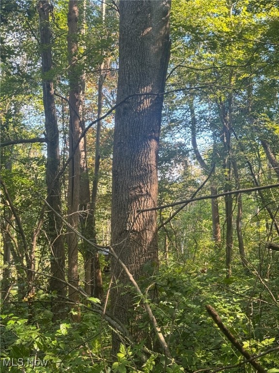 0 Greenlawn Rd unit 1, Quaker City, OH 43773 - photo 7