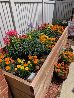 patio7