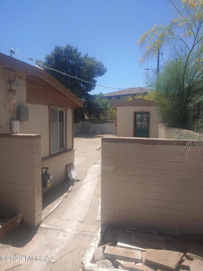 backyard 2