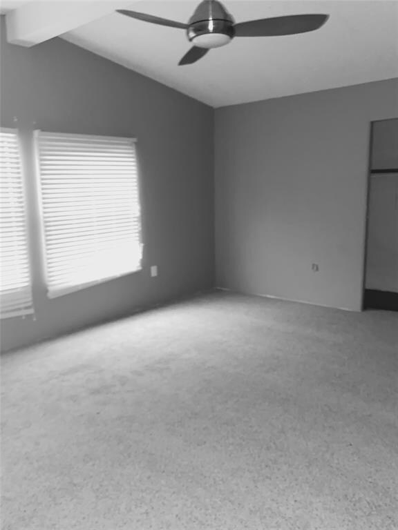 2409 Elk Trail, Granbury, TX 76048 - photo 6