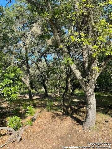 26026 Goldfinch Trail, San Antonio, TX 78255 - photo 6