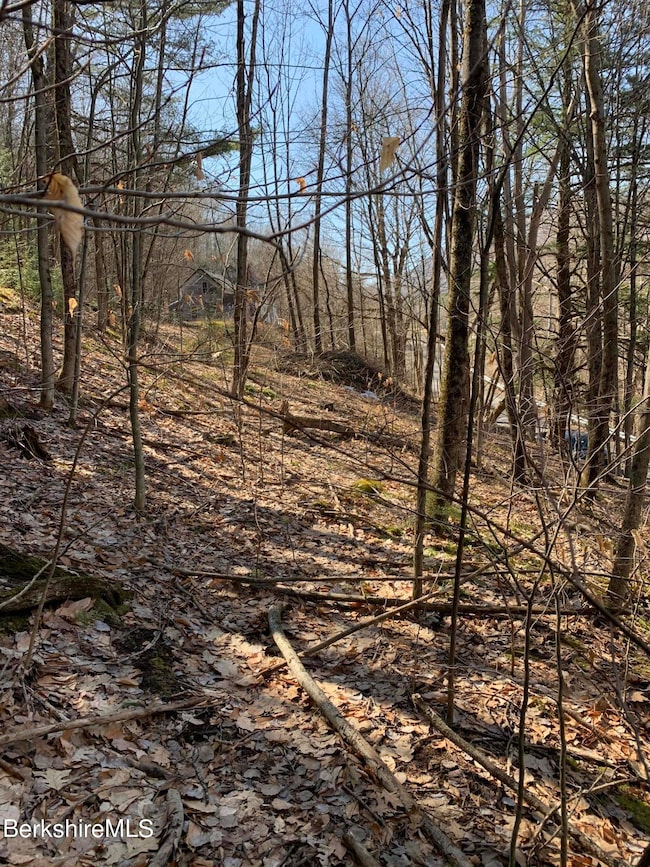 17 A St, North Adams, MA 01247 - photo 4