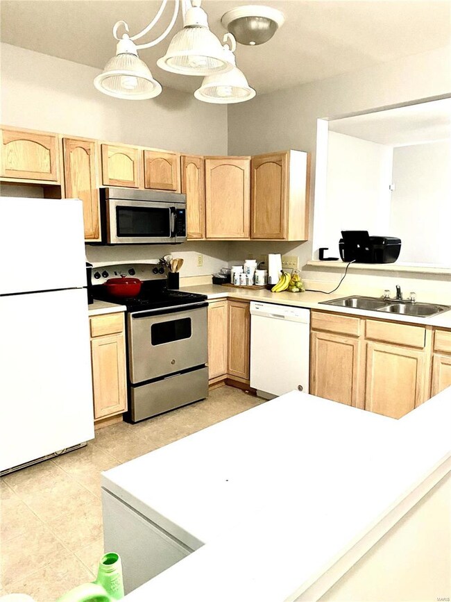 1805 Ambrose Terrace Dr, Belleville, IL 62226 - photo 6