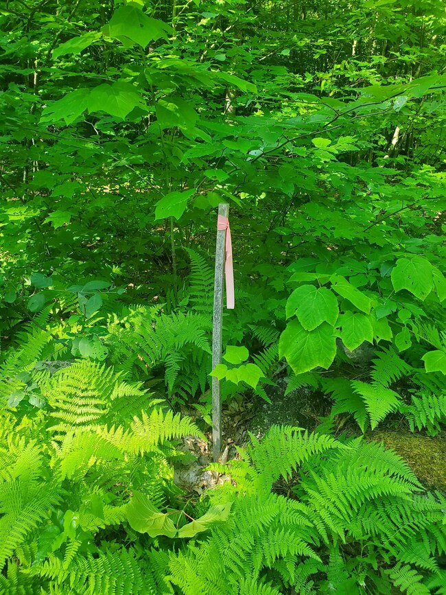 0 Craney Hill Rd, Henniker, NH 03242 - photo 3