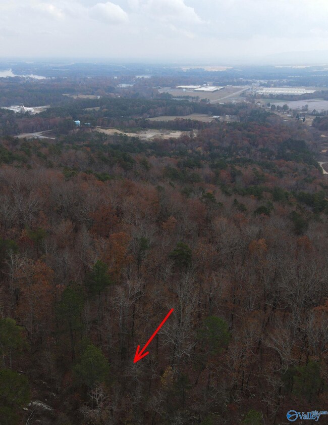 lot#0 County Road 70, Leesburg, AL 35983 - photo 6