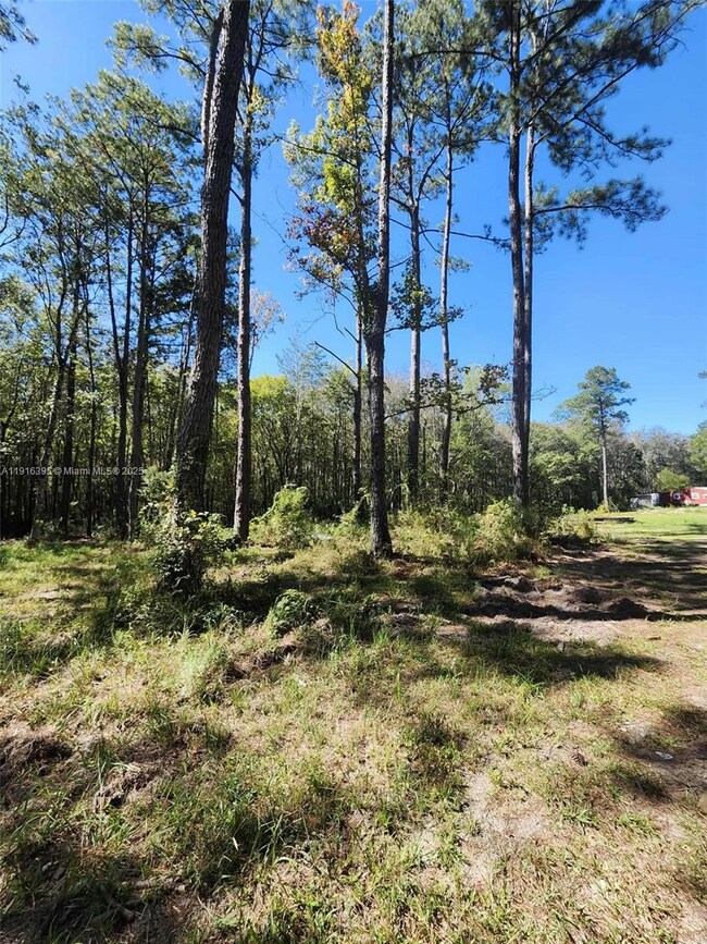 402 Smokehouse, Ponce de Leon, FL 32455 - photo 5