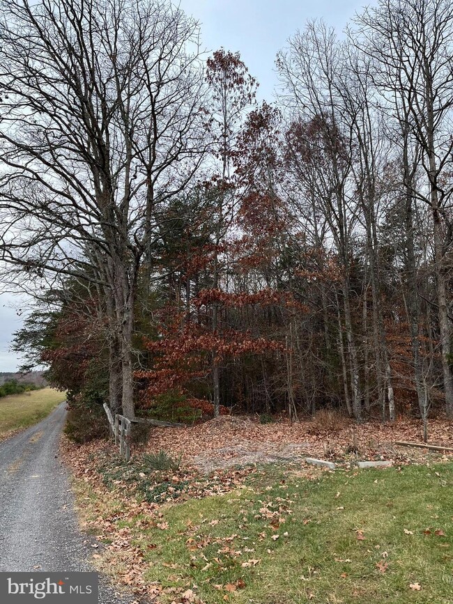 31250 Zoar Rd, Locust Grove, VA 22508 - photo 5