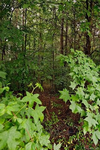 Lot 66 Firethorn Ct unit 66, Denver, NC 28037 - photo 4