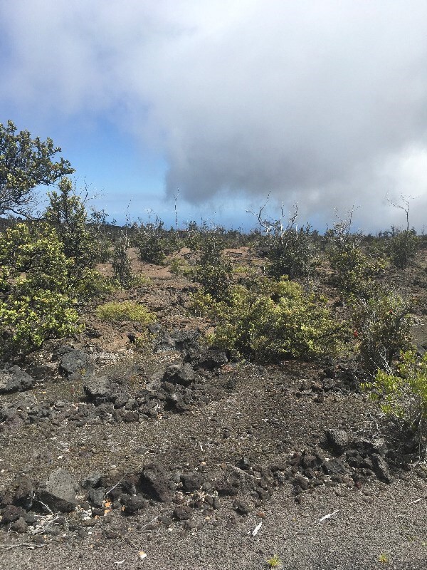 Looking toward ocean.