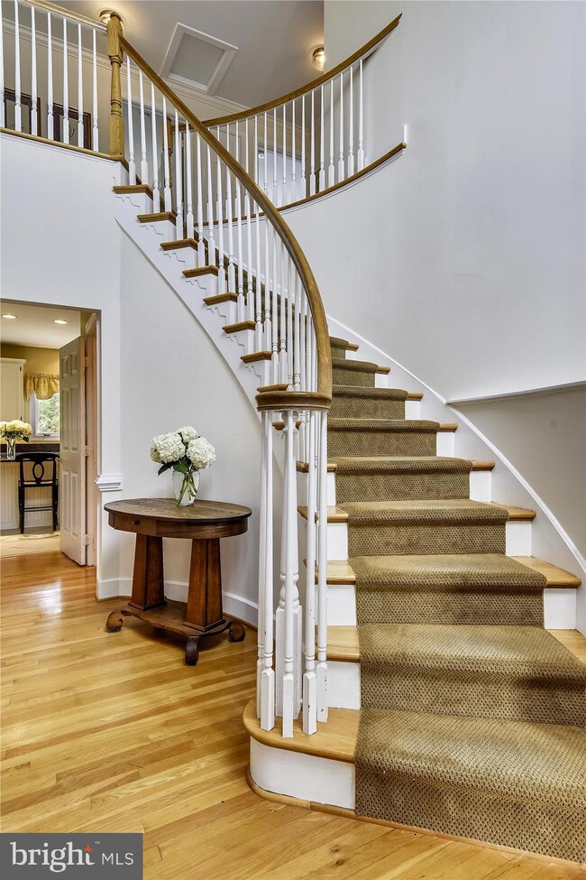 8329 Woodacre St, Alexandria, VA 22308 - photo 2