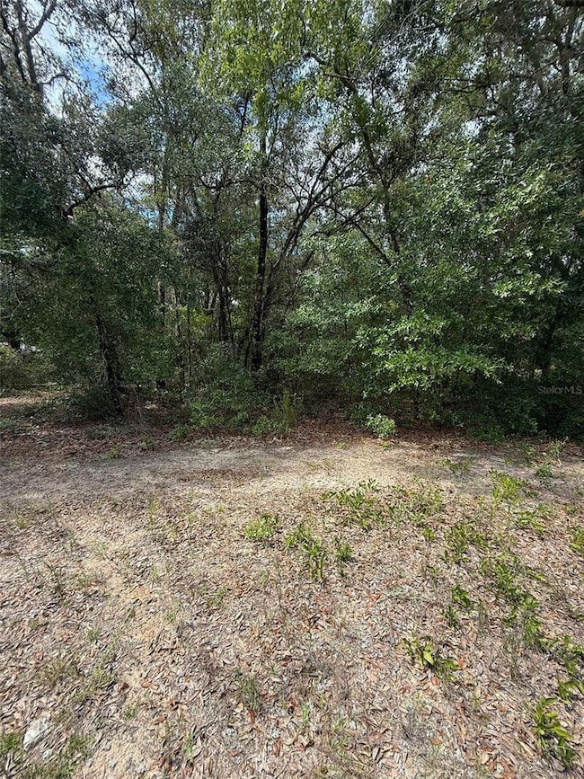 LOT 132 Duncan Ave, Interlachen, FL 32148 - photo 4