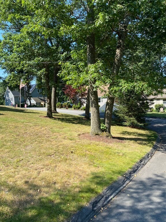 1 Harbell St, Lexington, MA 02421 - photo 6