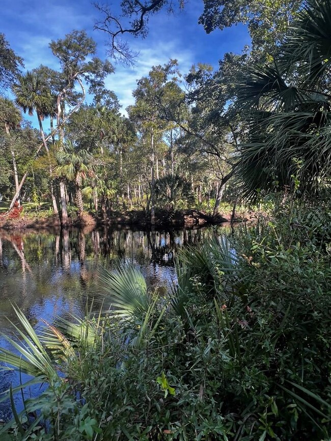 138 SW 721st St, Steinhatchee, FL 32359 - photo 2
