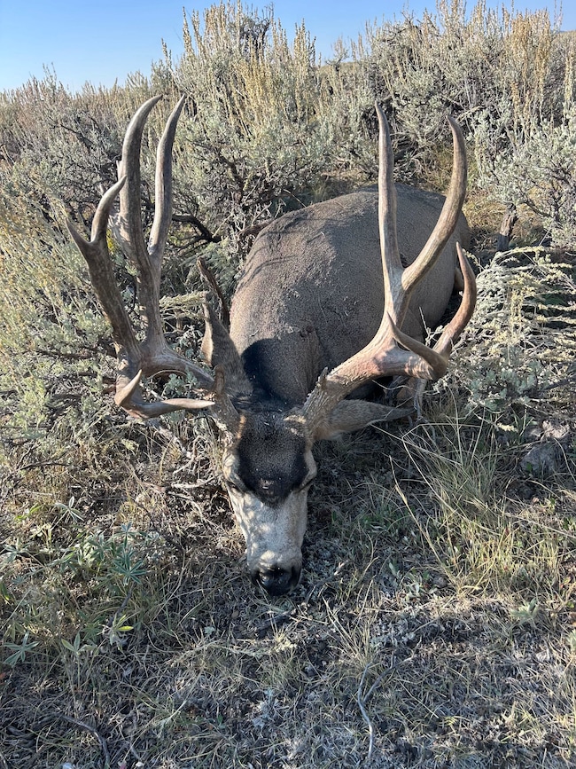 0 Tbd unit 11613076, Big Piney, WY 83113 - photo 6