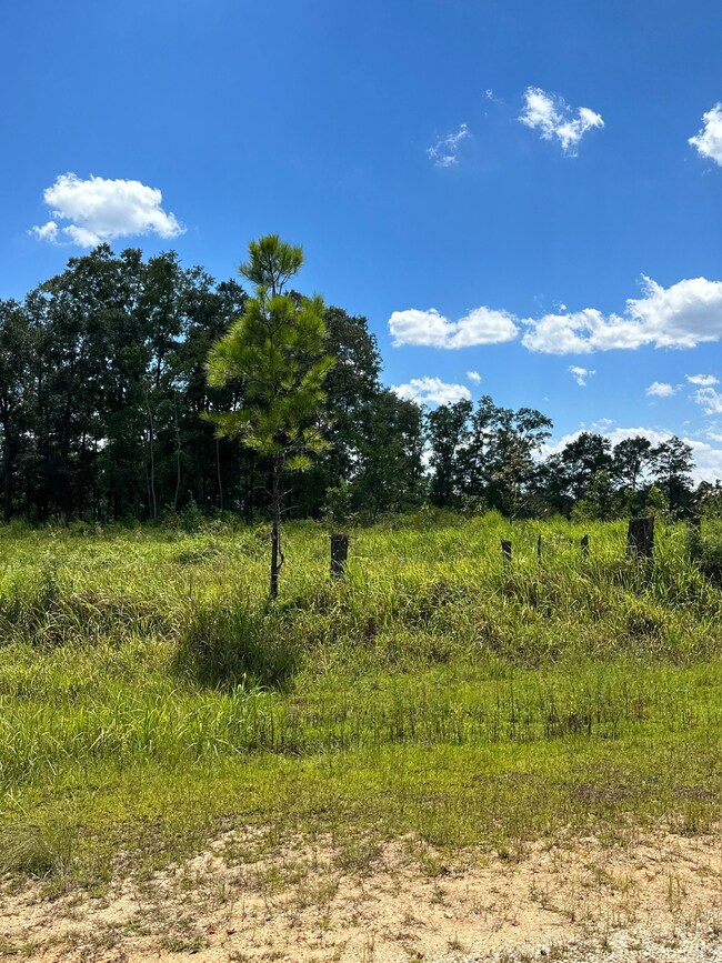 0 Hampton Ridge Ct unit 18085673, Mobile, AL 36608 - photo 7