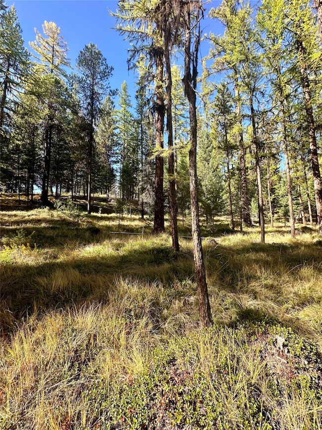 000 Bhong Ln, Marion, MT 59925 - photo 3