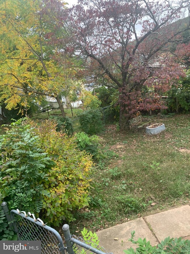 411 Carrie St, Ashland, PA 17921 - photo 4