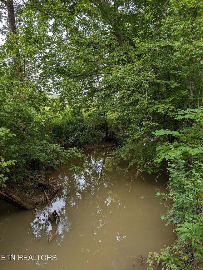 7662 Haws Rd unit 3, Knoxville, TN 37920 - photo 5