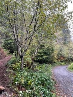 image1 (9)