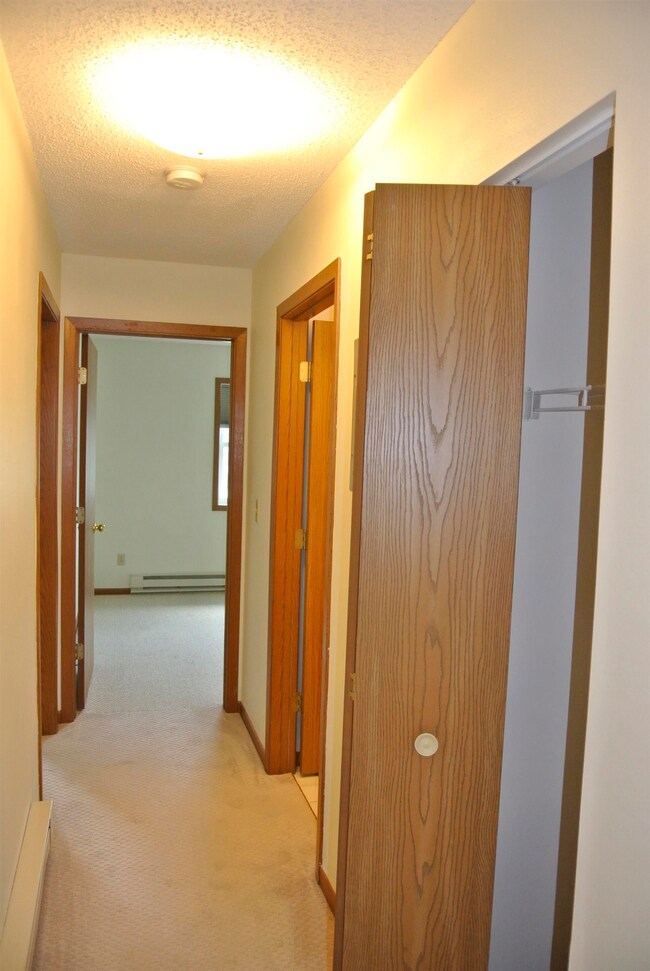 47 E 4th St, Superior, WI 54880 - photo 6