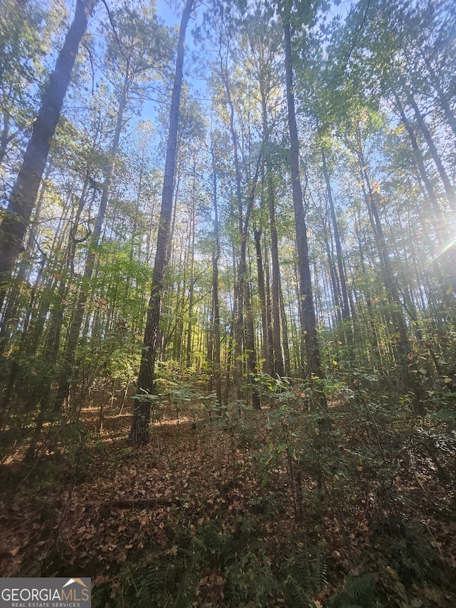 4861 Moon Rd, Powder Springs, GA 30127 - photo 2