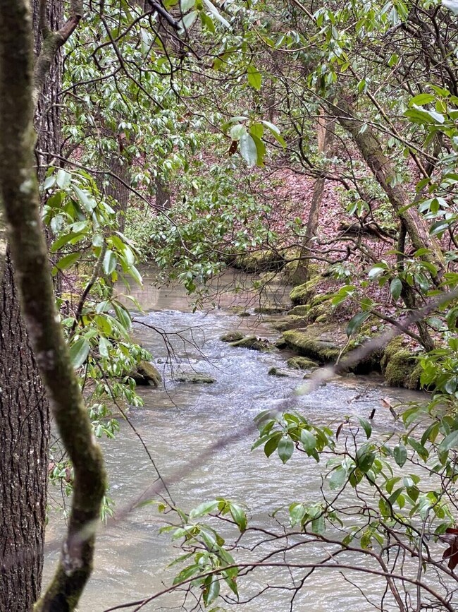 Lot 11 Thomas Springs Rd, Crossville, TN 38572 - photo 4