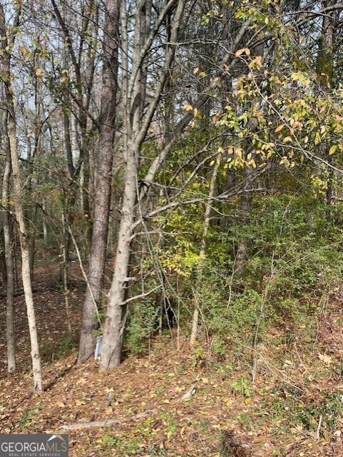 0 Old Bill Cook Rd unit 10419455, Atlanta, GA 30349 - photo 6