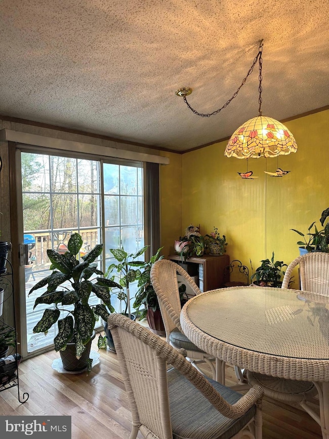 18553 Downs Rd, Georgetown, DE 19947 - photo 6