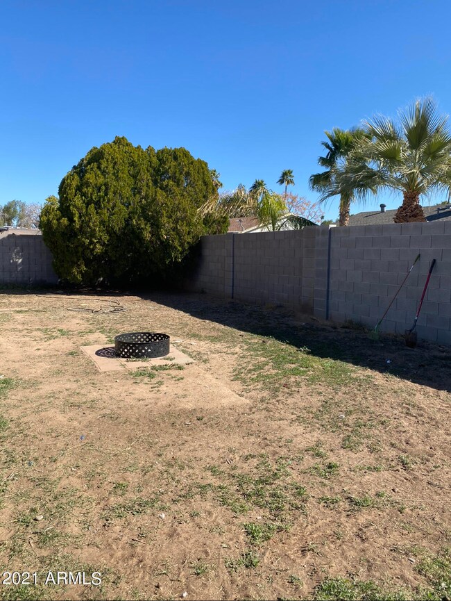 Backyard