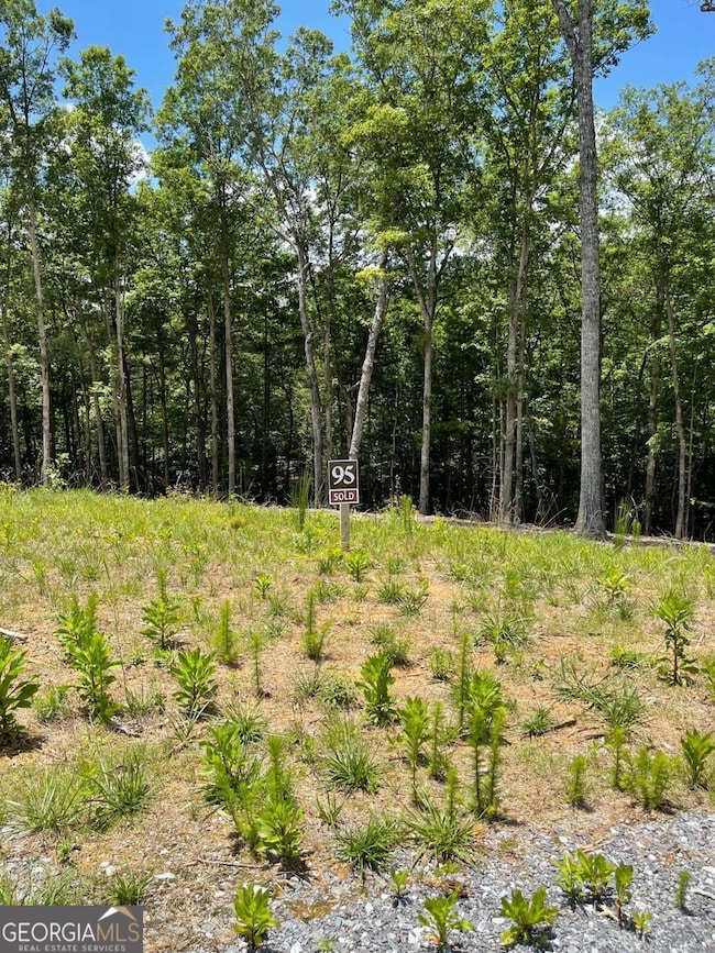 LOT 95 The Ridges, Morganton, GA 30560 - photo 3