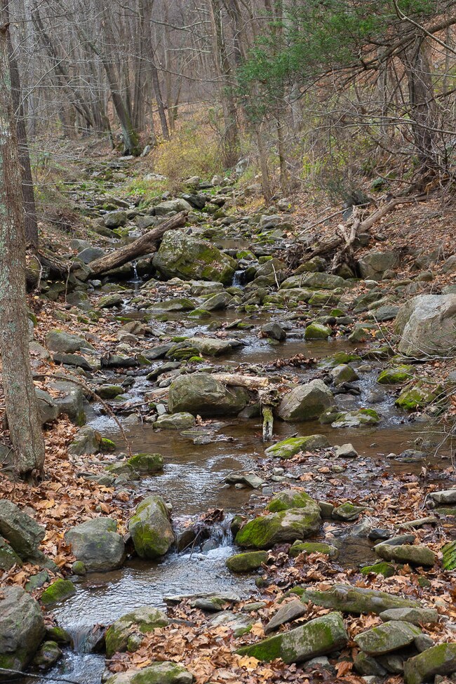 Spring creek