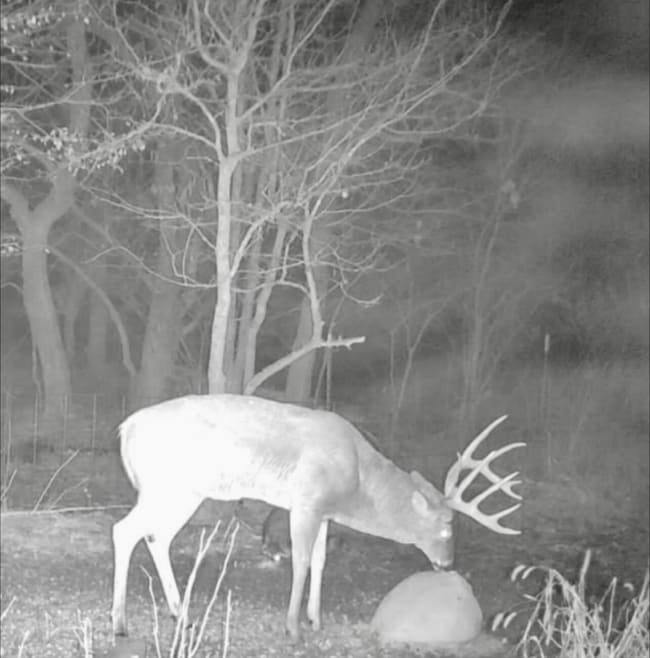 TBD E 484 Rd, West Siloam Springs, OK 74338 - photo 4