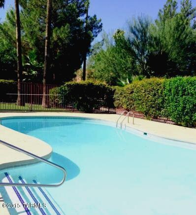 NEW POOL.jpg