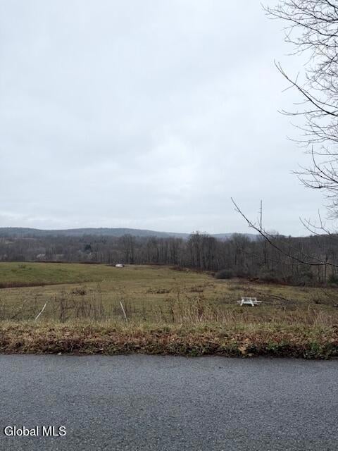 L11 Sheldon Rd, Granville, NY 12832 - photo 4