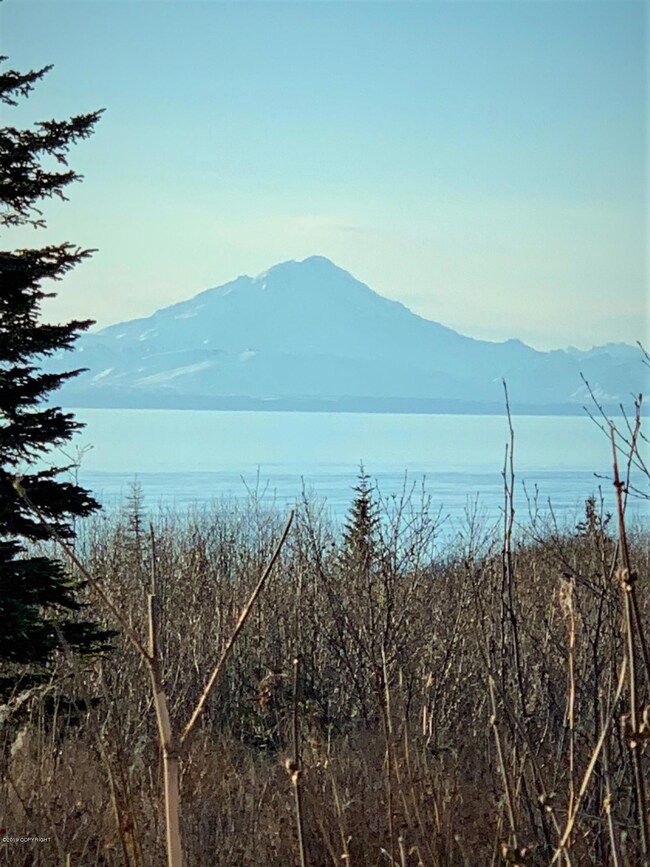VIEW of Ocean, Mountains and Volcano