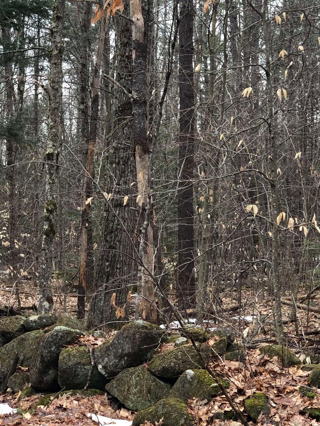 0 Turner Hill Rd unit Lot 17 4991048, Antrim, NH 03440 - photo 2